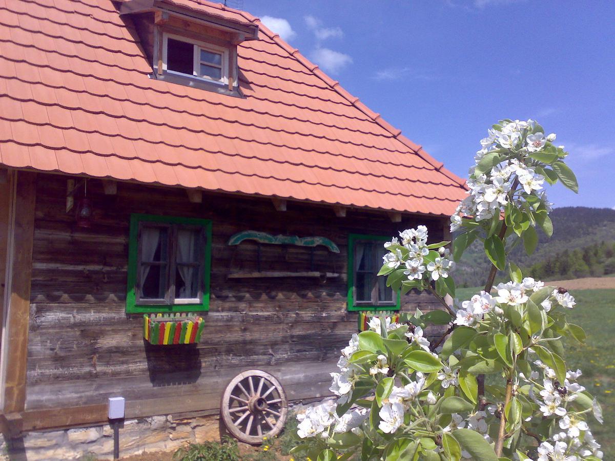 Apartments Sekler Rudno Room photo